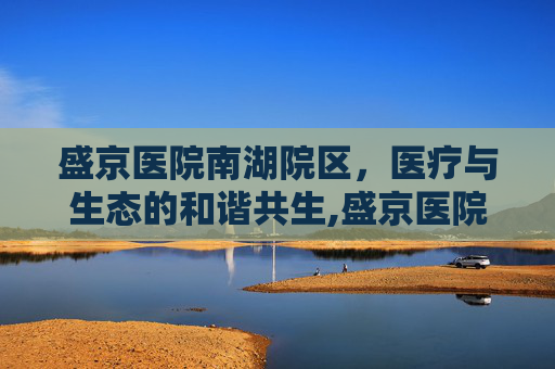 盛京医院南湖院区，医疗与生态的和谐共生,盛京医院南湖院区属于哪个区