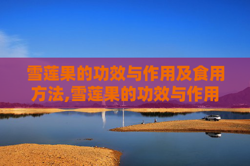 雪莲果的功效与作用及食用方法,雪莲果的功效与作用及食用方法禁忌