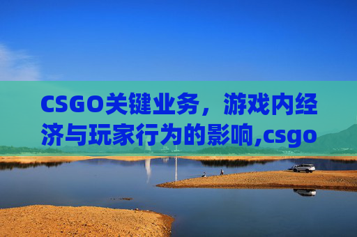 CSGO关键业务，游戏内经济与玩家行为的影响,csgo关键人是什么