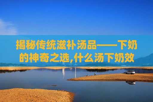 揭秘传统滋补汤品——下奶的神奇之选,什么汤下奶效果最好