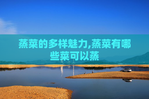 蒸菜的多样魅力,蒸菜有哪些菜可以蒸