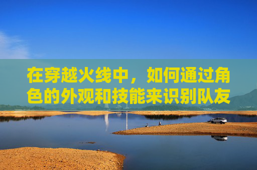 在穿越火线中，如何通过角色的外观和技能来识别队友？,cf什么角色可以看队友信息