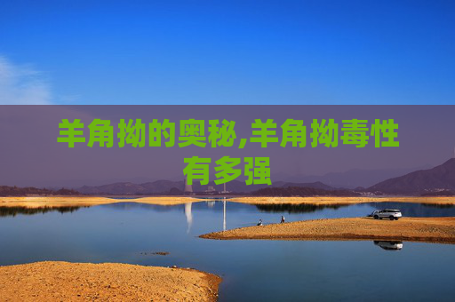 羊角拗的奥秘,羊角拗毒性有多强