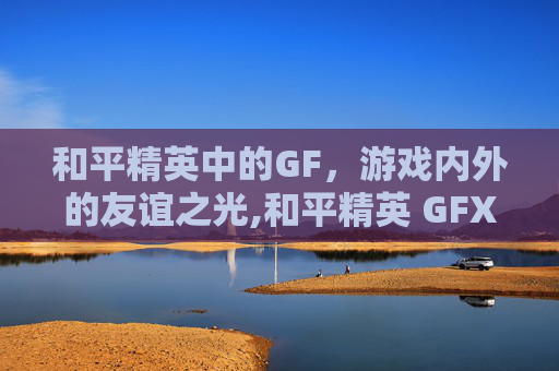 和平精英中的GF，游戏内外的友谊之光,和平精英 GFX Tool