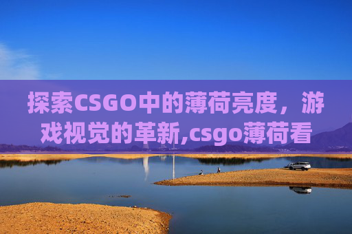 探索CSGO中的薄荷亮度，游戏视觉的革新,csgo薄荷看哪里