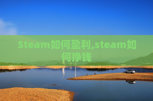 Steam如何盈利,steam如何挣钱