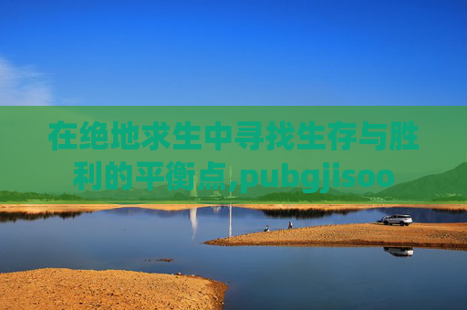 在绝地求生中寻找生存与胜利的平衡点,pubgjisoo
