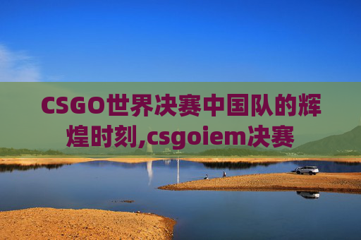 CSGO世界决赛中国队的辉煌时刻,csgoiem决赛