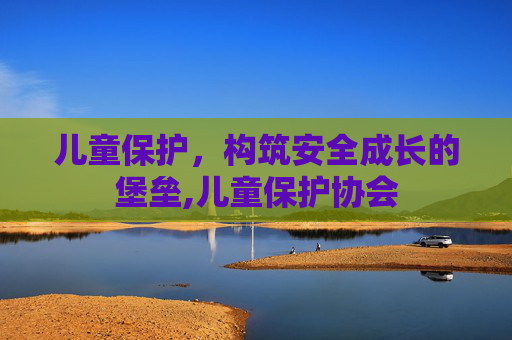 儿童保护，构筑安全成长的堡垒,儿童保护协会