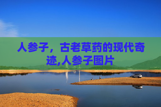 人参子，古老草药的现代奇迹,人参子图片