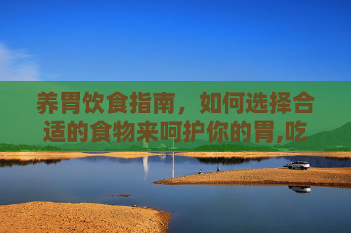 养胃饮食指南，如何选择合适的食物来呵护你的胃,吃什么比较养胃还治疗胃病