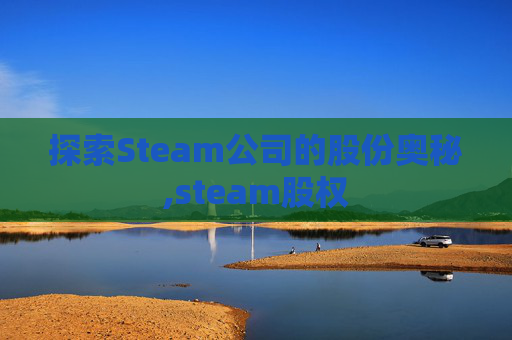 探索Steam公司的股份奥秘,steam股权