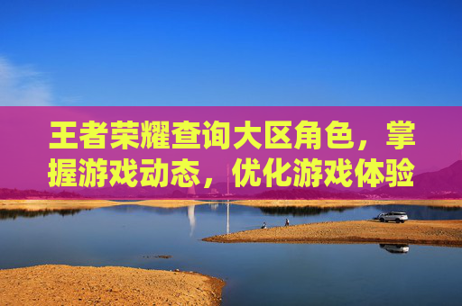 王者荣耀查询大区角色，掌握游戏动态，优化游戏体验,王者荣耀查询大区角色怎么查