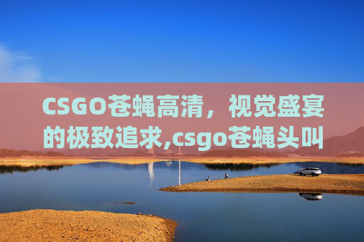 CSGO苍蝇高清,视觉盛宴的极致追求,csgo苍蝇头叫什么 CSGO苍蝇高清,视觉盛宴的极致追求,csgo苍蝇头叫什么