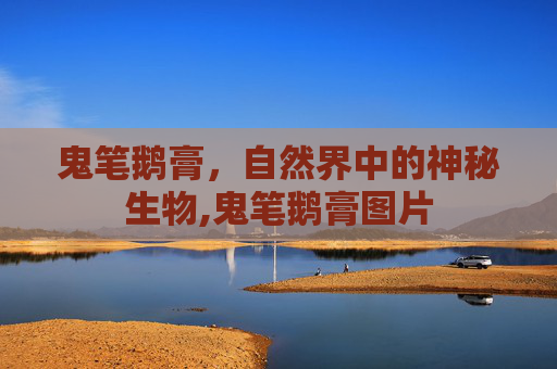 鬼笔鹅膏,自然界中的神秘生物,鬼笔鹅膏图片 鬼笔鹅膏,自然界中的神秘生物,鬼笔鹅膏图片