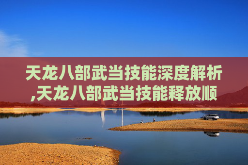 天龙八部武当技能深度解析,天龙八部武当技能释放顺序 天龙八部武当技能深度解析,天龙八部武当技能释放顺序