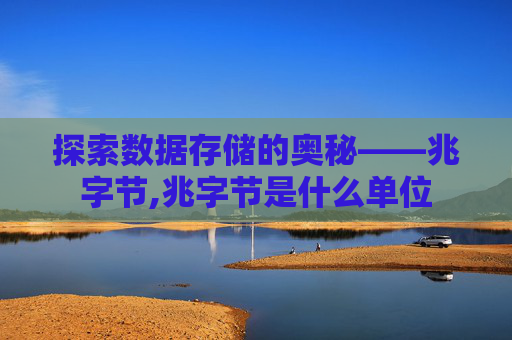 探索数据存储的奥秘——兆字节,兆字节是什么单位