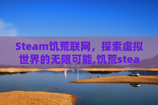 Steam饥荒联网，探索虚拟世界的无限可能,饥荒steam局域网联机教程