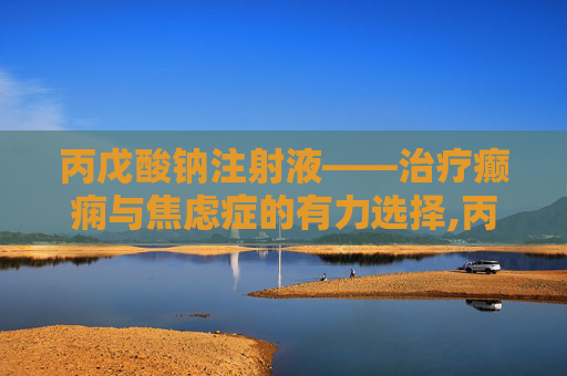 丙戊酸钠注射液——治疗癫痫与焦虑症的有力选择,丙戊酸钠注射用浓溶液说明书