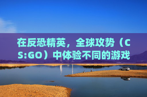 在反恐精英,全球攻势(CS:GO)中体验不同的游戏风格,csgo租装备平台 在反恐精英,全球攻势(CS:GO)中体验不同的游戏风格,csgo租装备平台