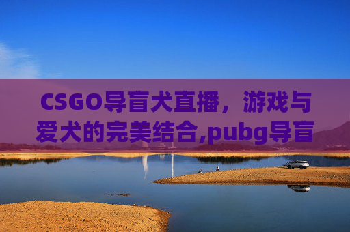 CSGO导盲犬直播，游戏与爱犬的完美结合,pubg导盲犬是什么意思
