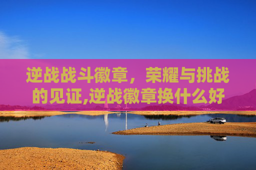 逆战战斗徽章，荣耀与挑战的见证,逆战徽章换什么好