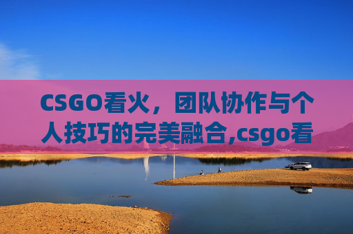 CSGO看火，团队协作与个人技巧的完美融合,csgo看火后面