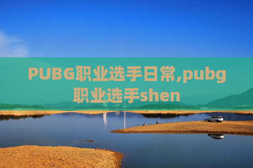 PUBG职业选手日常,pubg职业选手shen