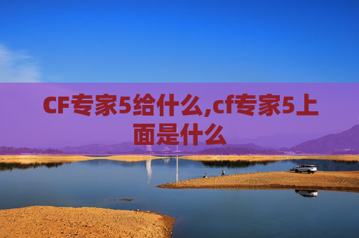 CF专家5给什么,cf专家5上面是什么