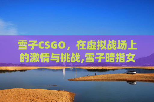 雪子CSGO，在虚拟战场上的激情与挑战,雪子暗指女人什么