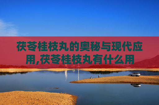 茯苓桂枝丸的奥秘与现代应用,茯苓桂枝丸有什么用
