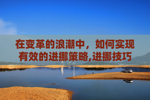在变革的浪潮中，如何实现有效的进挪策略,进挪技巧