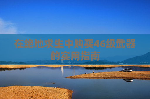 在绝地求生中购买46级武器的实用指南