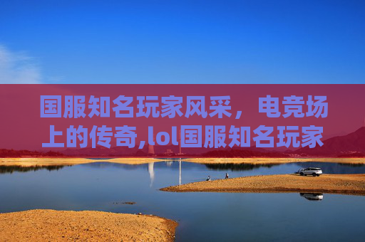 国服知名玩家风采，电竞场上的传奇,lol国服知名玩家有哪些