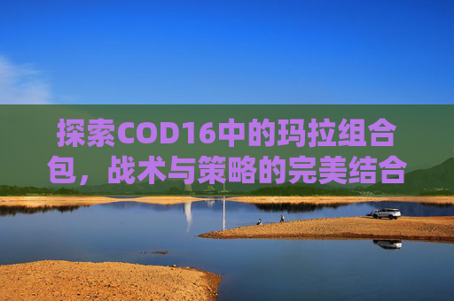 探索COD16中的玛拉组合包，战术与策略的完美结合,cod16玛拉绝版了吗