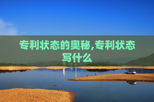 专利状态的奥秘,专利状态写什么