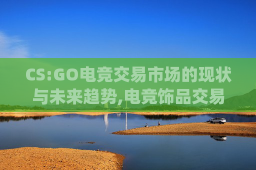 CS:GO电竞交易市场的现状与未来趋势,电竞饰品交易csgo