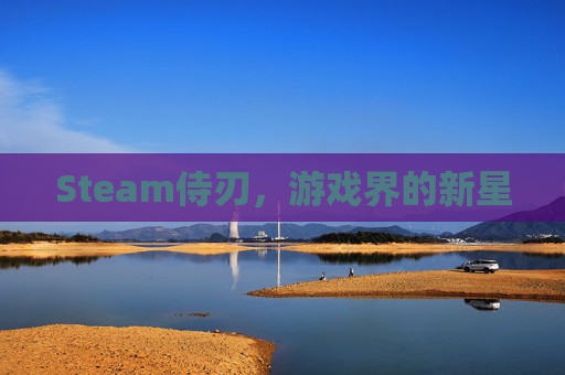 Steam侍刃，游戏界的新星