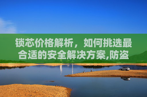 锁芯价格解析，如何挑选最合适的安全解决方案,防盗门锁芯多少钱