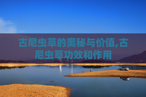 古尼虫草的奥秘与价值,古尼虫草功效和作用