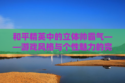 和平精英中的立体帅霸气——游戏风格与个性魅力的完美融合,和平精英立体画