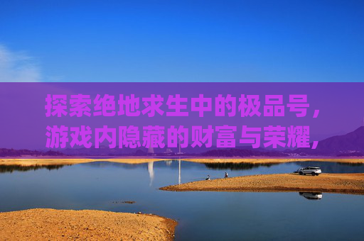 探索绝地求生中的极品号，游戏内隐藏的财富与荣耀,pubg低价账号