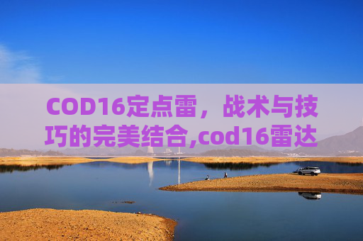 COD16定点雷，战术与技巧的完美结合,cod16雷达怎么弄