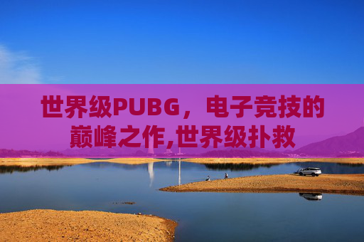 世界级PUBG，电子竞技的巅峰之作,世界级扑救