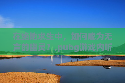 在绝地求生中，如何成为无声的幽灵？,pubg游戏内听不到队友说话
