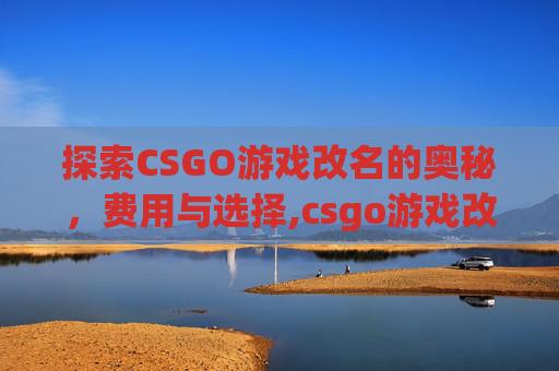 探索CSGO游戏改名的奥秘，费用与选择,csgo游戏改名多少钱一个