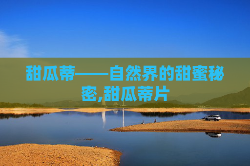 甜瓜蒂——自然界的甜蜜秘密,甜瓜蒂片