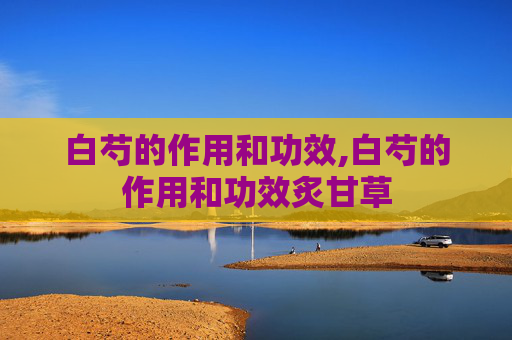 白芍的作用和功效,白芍的作用和功效炙甘草