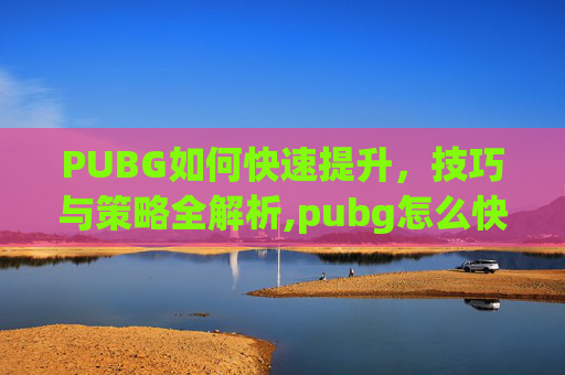 PUBG如何快速提升，技巧与策略全解析,pubg怎么快速提升等级