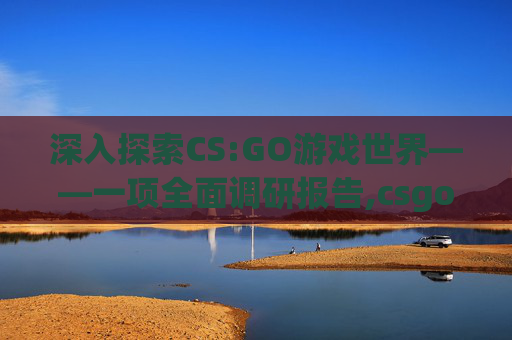 深入探索CS:GO游戏世界——一项全面调研报告,csgo市场分析网站